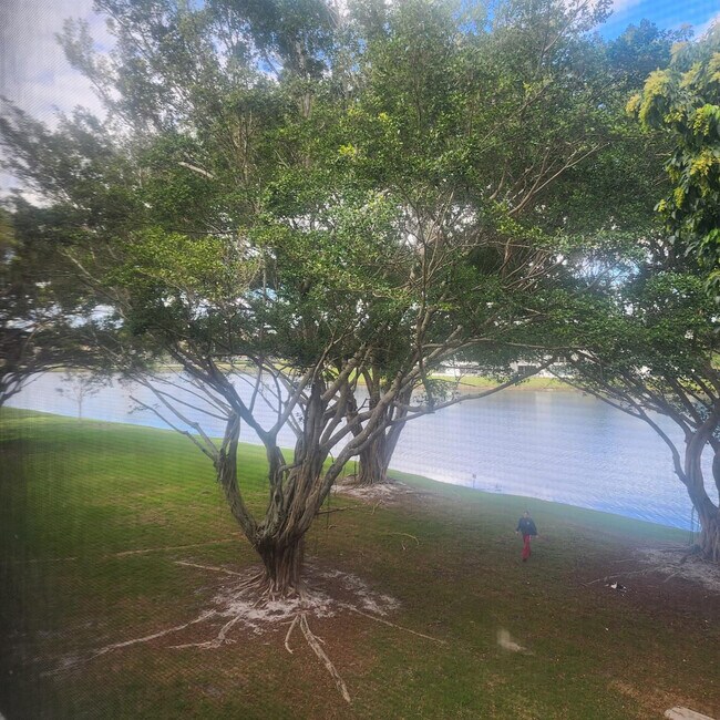 Building Photo - 9430 Poinciana Pl