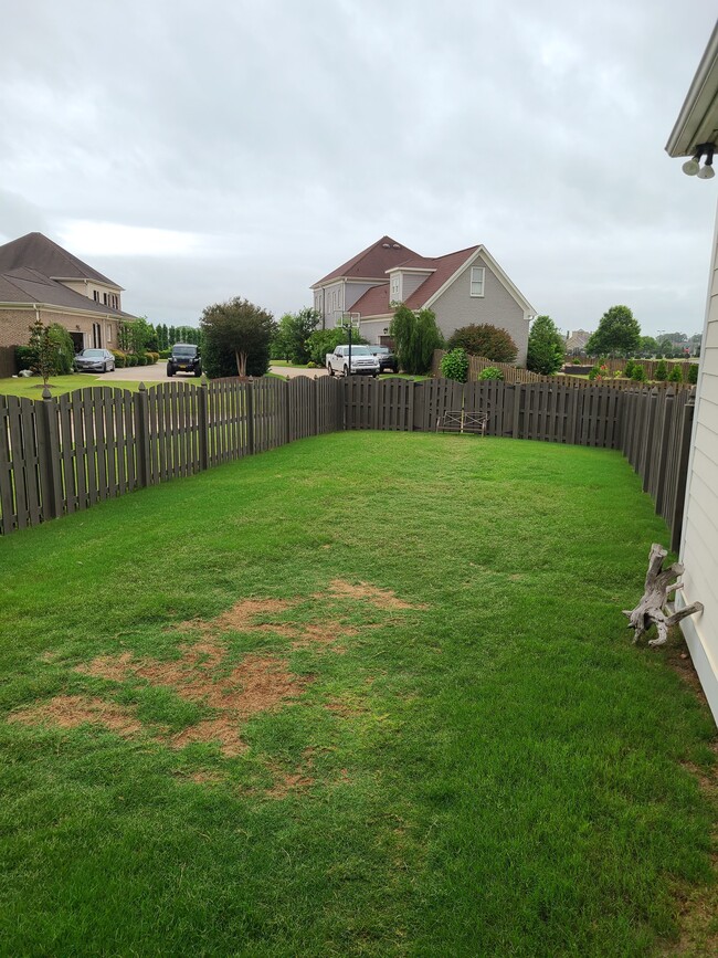 Building Photo - 34 Silky Oak Cir SW