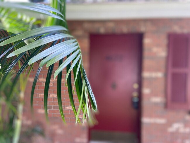 Foto del edificio - Renovated 2/1 Duplex in Lakeland!