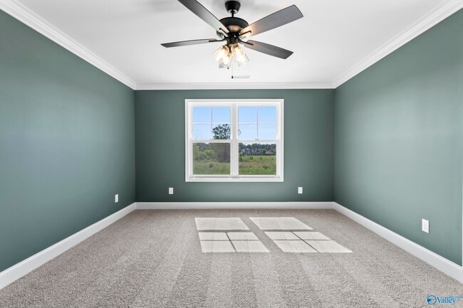 Building Photo - 247 Susan Lynn Dr