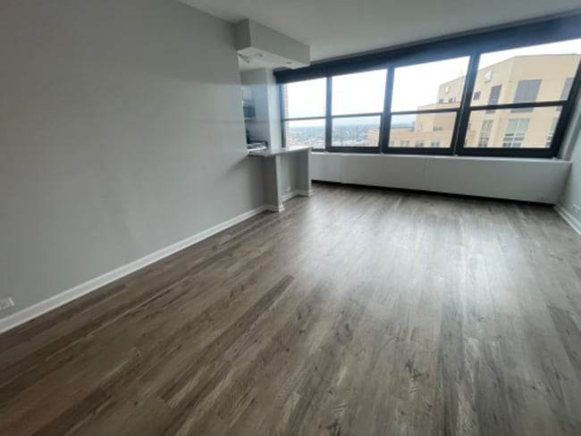 Photo - 1171 S Michigan Ave Apartment