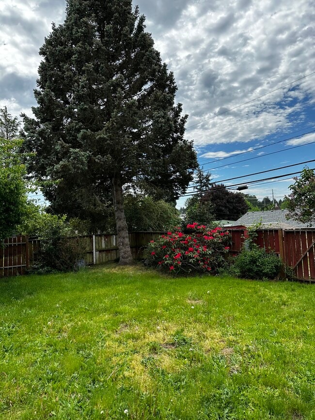 Back yard - 2344 N Winnifred St