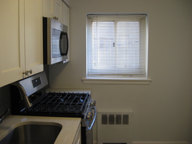 Windowed Kitchen - 221 Middle Neck Rd