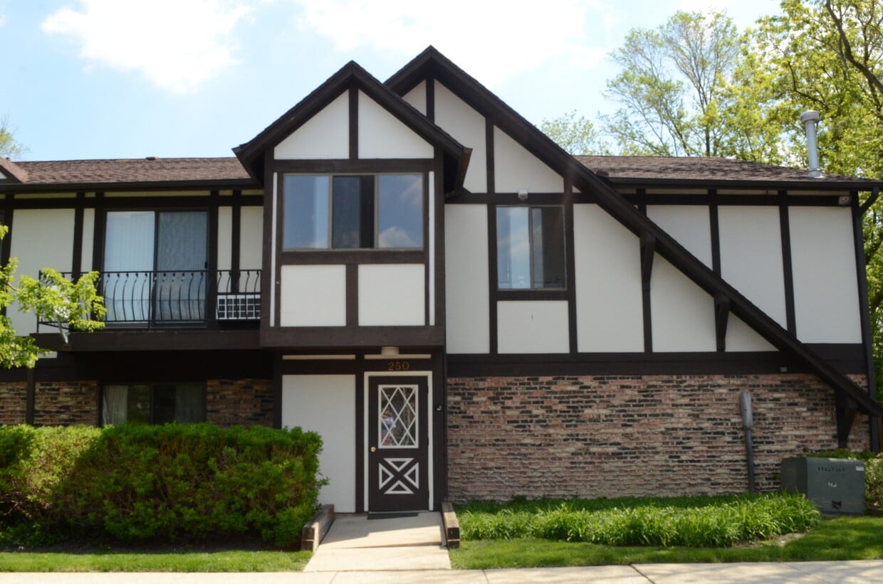 250 St Unit E, Bensenville, IL 60106 Condo for Rent in