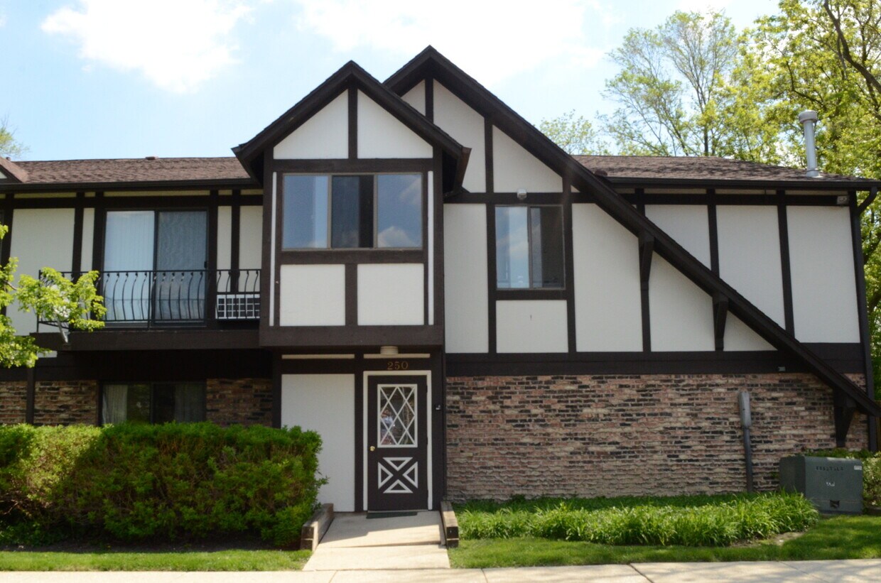 250 St Unit E, Bensenville, IL 60106 Condo for Rent in