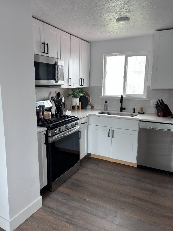 Building Photo - 1131 Electra Ln