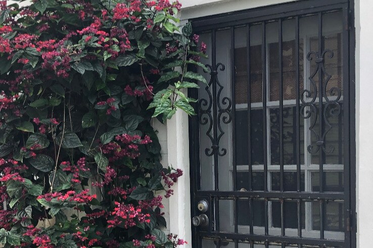 Apartment Entrance - 7726 Walmsley Ave