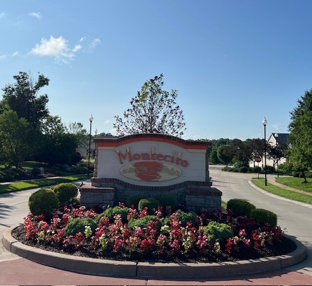 Entrance to community - 4423 Via Condotti