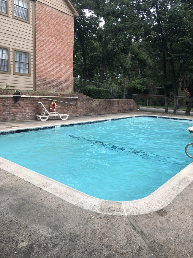 Swimming pool - 2401 Sycamore Ave