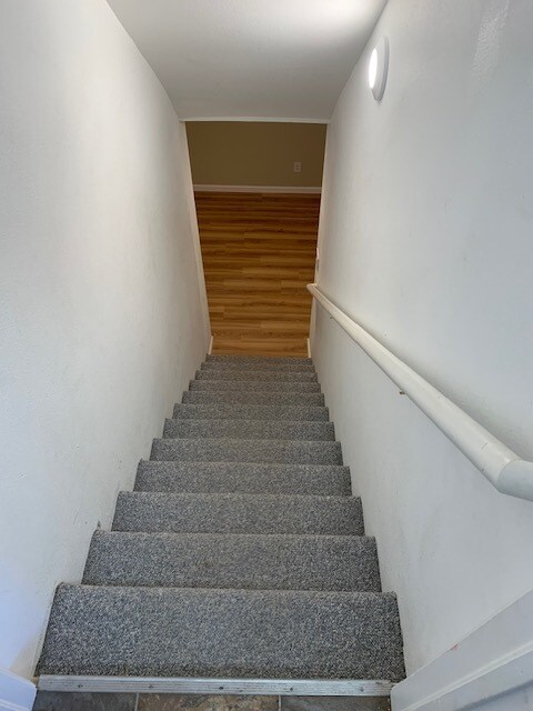 Building Photo - 3107 Swan Point Dr