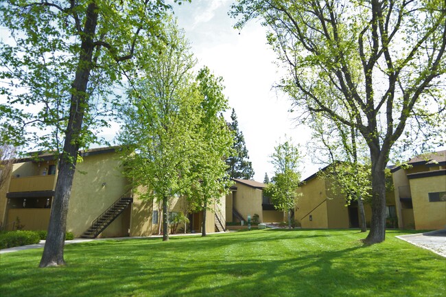 Building Photo - Bunker Hill Apartments