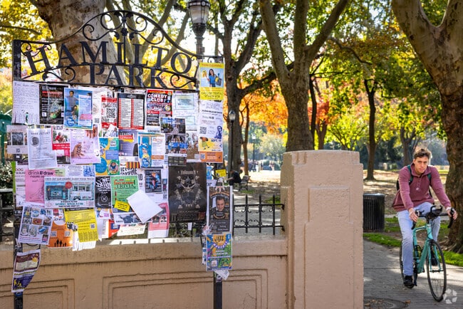 Hamilton Park is an ideal place for urban residents to find moments of leisure in Jersey City.