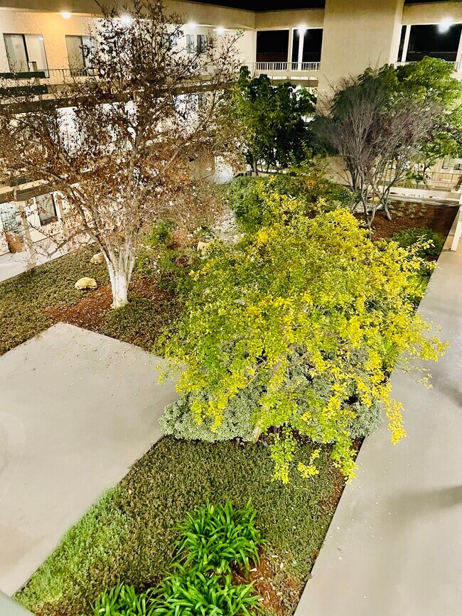 Court yard at night - 4141 Via Marisol