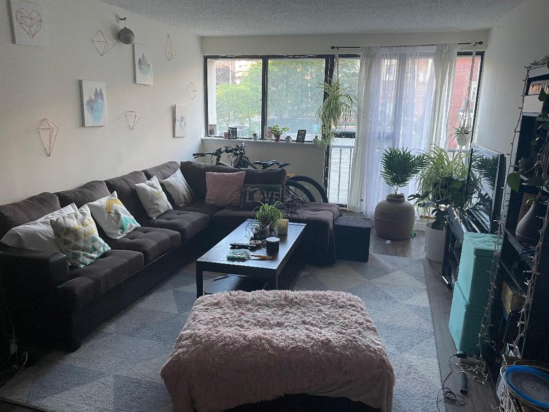 10 Cottage Plz Unit 3G, White Plains, NY 10601 Condo for Rent in