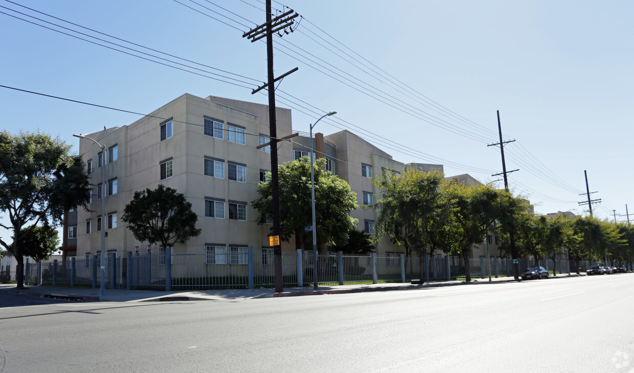 Primary Photo - Amistad Plaza