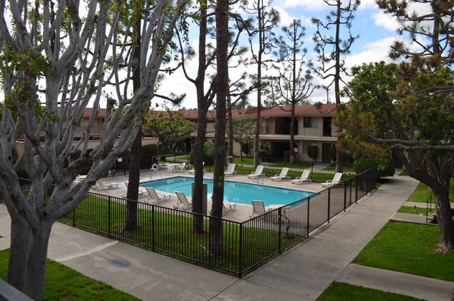 Swimming Pool Area - Enrique Apartments