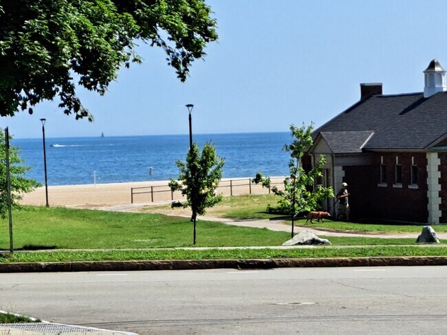 Playa al otro lado de la calle - 22 Wilder Ter