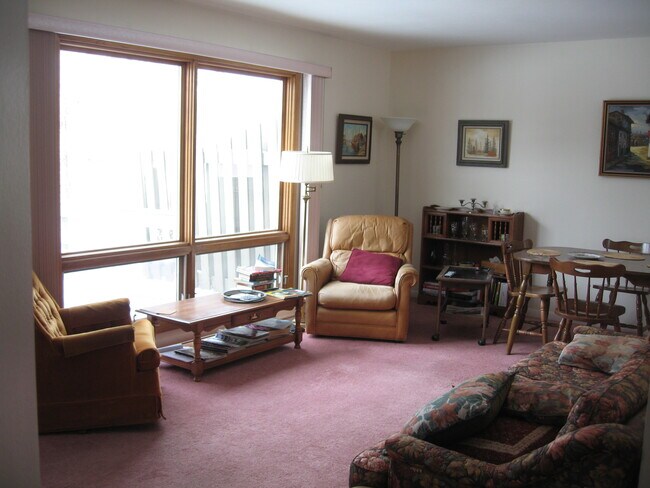 Older photo, carpet has been replaced recently - 405 Kelly Cir