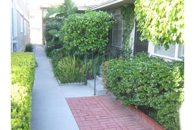 Foto del edificio - 311 Marguerite Ave