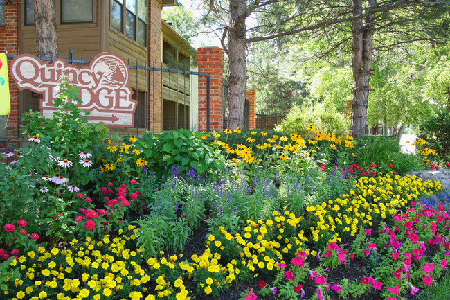 Building Photo - Quincy Ridge Apartments