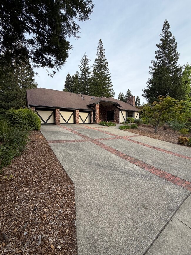 Building Photo - 2406 Alamo Glen Dr