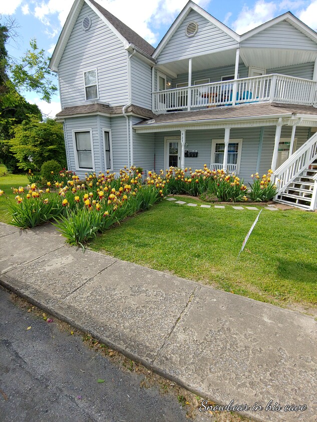 Front of 923 Windsor in bloom - 923 Windsor Ave