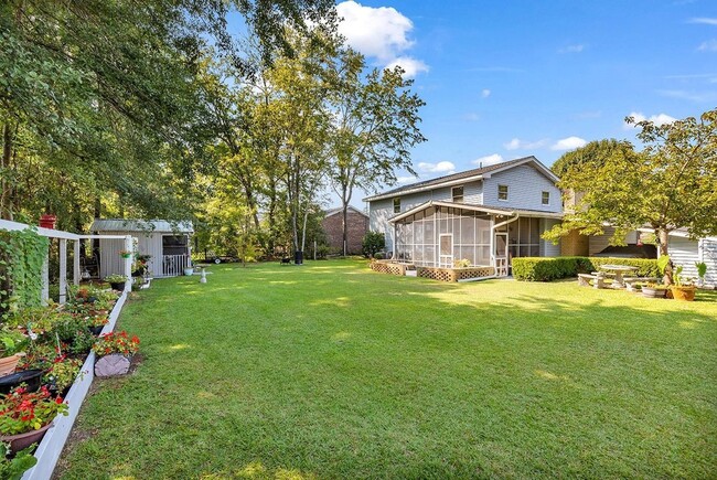 backyard - 118 Wofford Rd