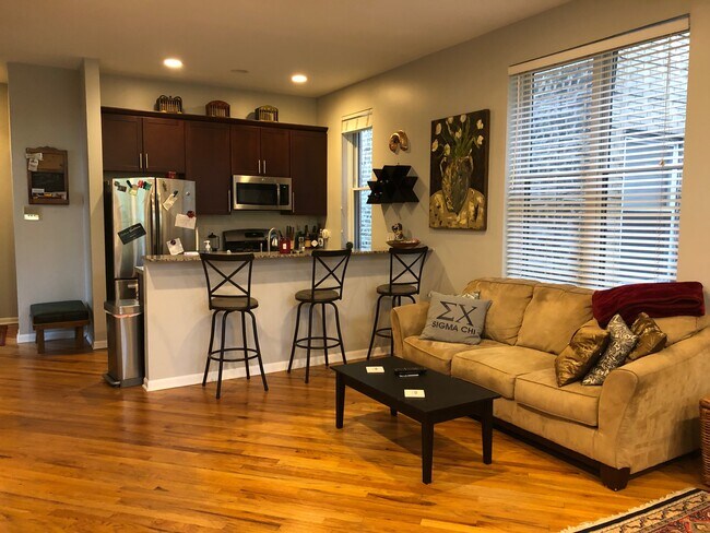 Kitchen/Living Area - 1464 W Grace St