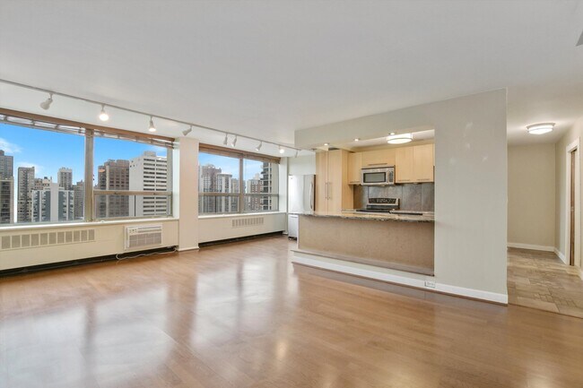 Foto del edificio - 1455 N Sandburg Terrace
