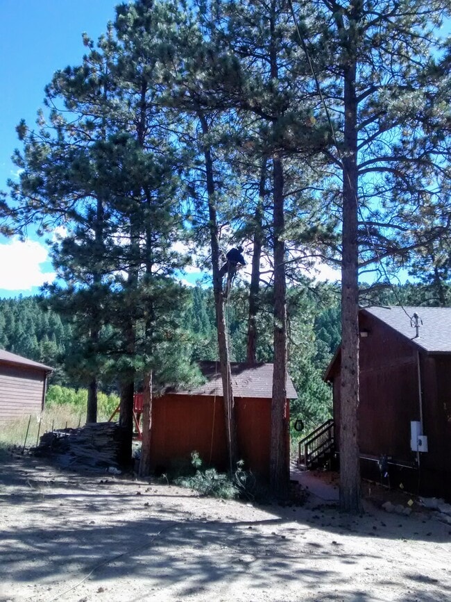 Building Photo - 120 Wisp Creek Dr