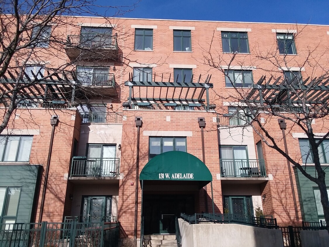 131 W Adelaide St Unit 204, Elmhurst, IL 60126 Condo for Rent in