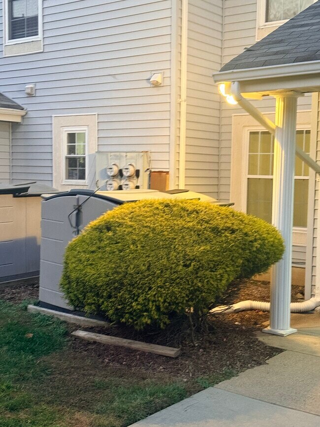 Foto del edificio - 42 Tanglewood Ct