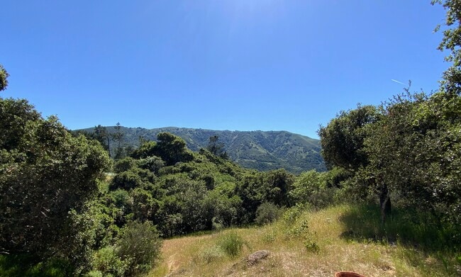 View of Garland Park - 17 Encina Dr