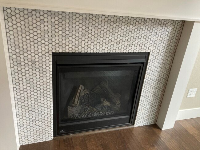 Gas fireplace - 608 E Taylor Dr