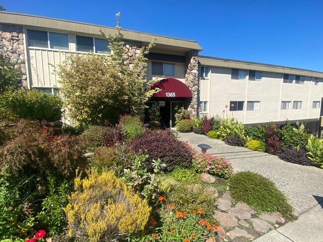 1365 Mt Pisgah Rd., Walnut Creek, CA - 1365 Mt Pisgah Rd