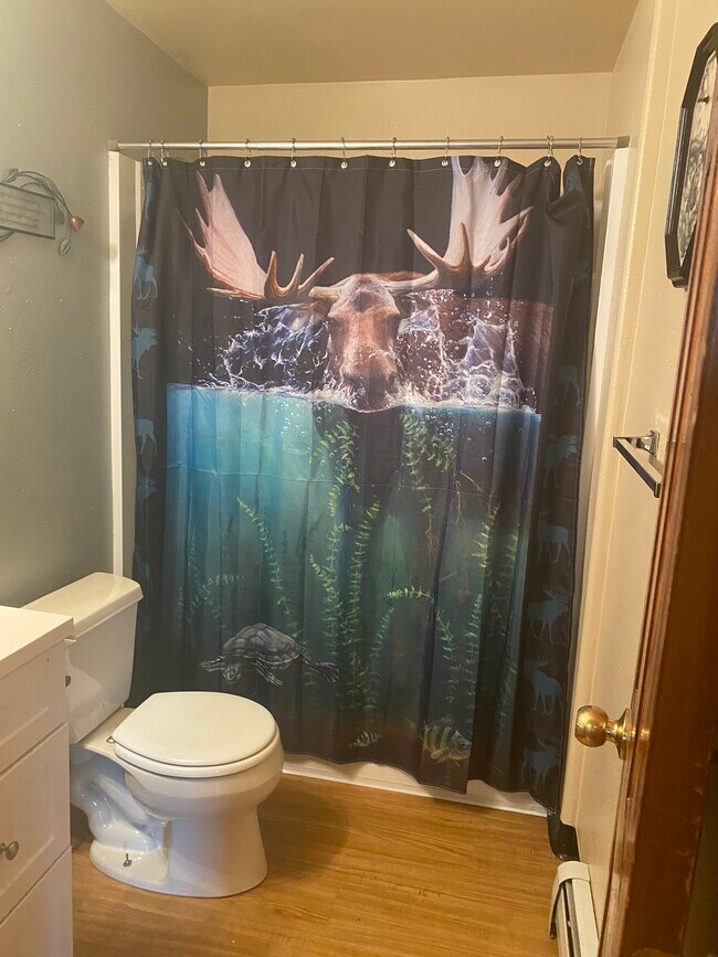 Full size bath tub in bathroom - 11528 Borealis St