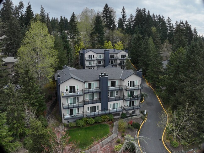 Exterior 3D - Park Vista Apartments