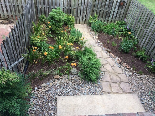 patio trasero - 3574 Lowlen Ct