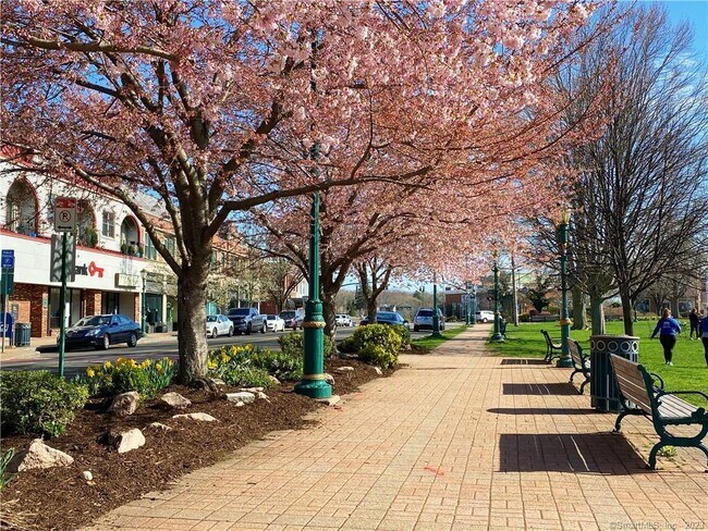 Foto del edificio - 85-87 S Main St