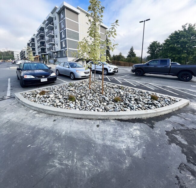 Photo du bâtiment - Willows Crossing