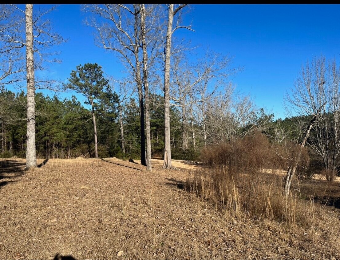 168 Tiner Dr Unit A, Waynesboro, MS 39367 Apartments in Waynesboro