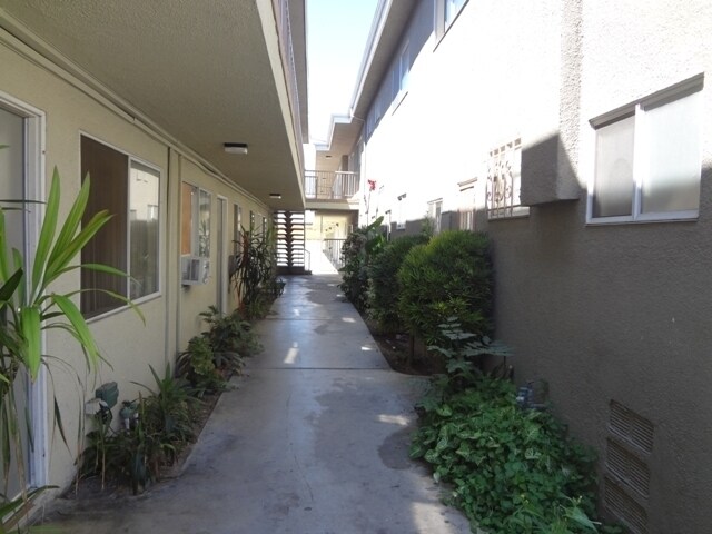 Foto del interior - RAMONA