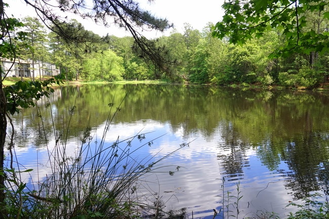 Pine Highland Duck Pond - Pine Highland West