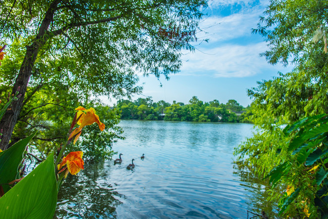 Foto del edificio - Northlake Townhomes