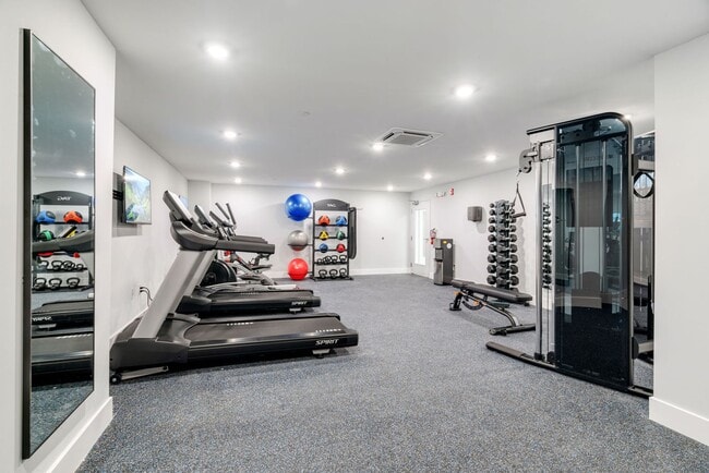 Interior Photo - The Dally