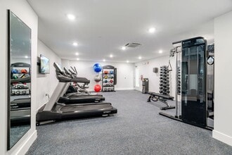 Interior Photo - The Dally