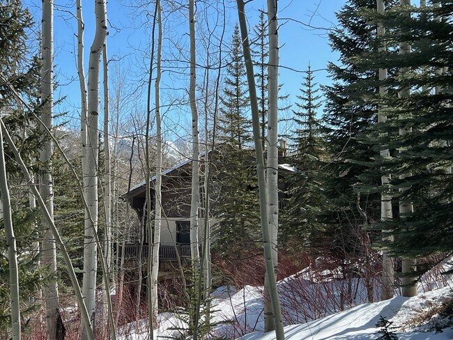 Building Photo - 7 month heart of Vail Rental