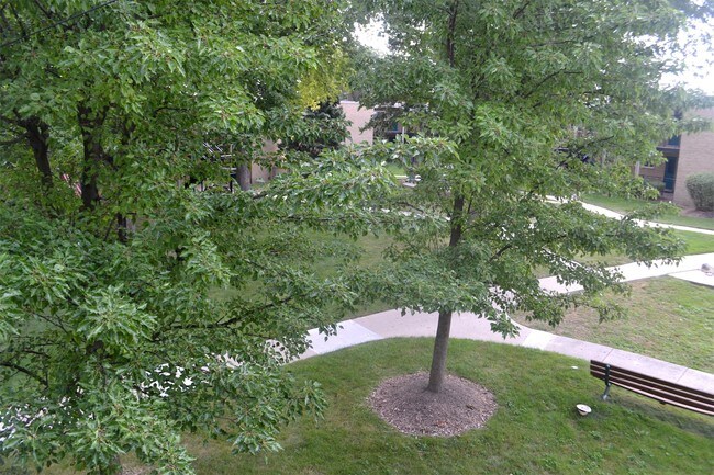 Photo - 603 E Prospect Ave