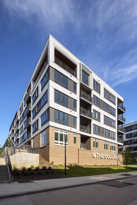 Building Photo - The Collins