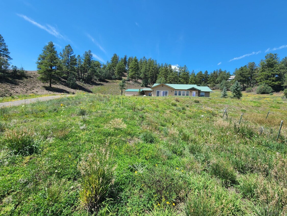 Primary Photo - Gorgeous 3B/2BTH Home in Holiday Acres on ...